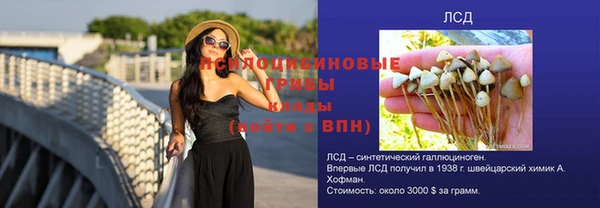 таблы Белокуриха