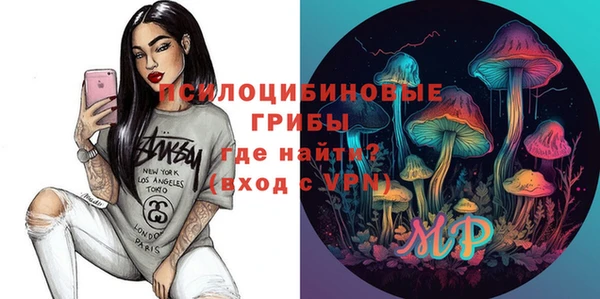 таблы Белокуриха