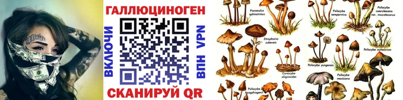 Галлюциногенные грибы MAGIC MUSHROOMS  площадка наркотические препараты  Бузулук 