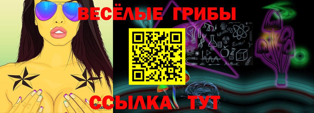 Бузулук  Псилоцибиновые грибы ЛСД  Вход с VPN 